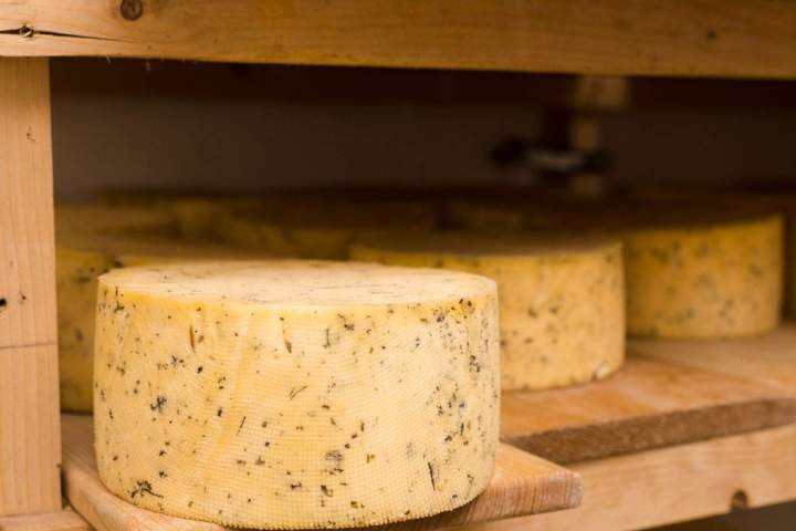 Fromagerie, Ceyzériat
