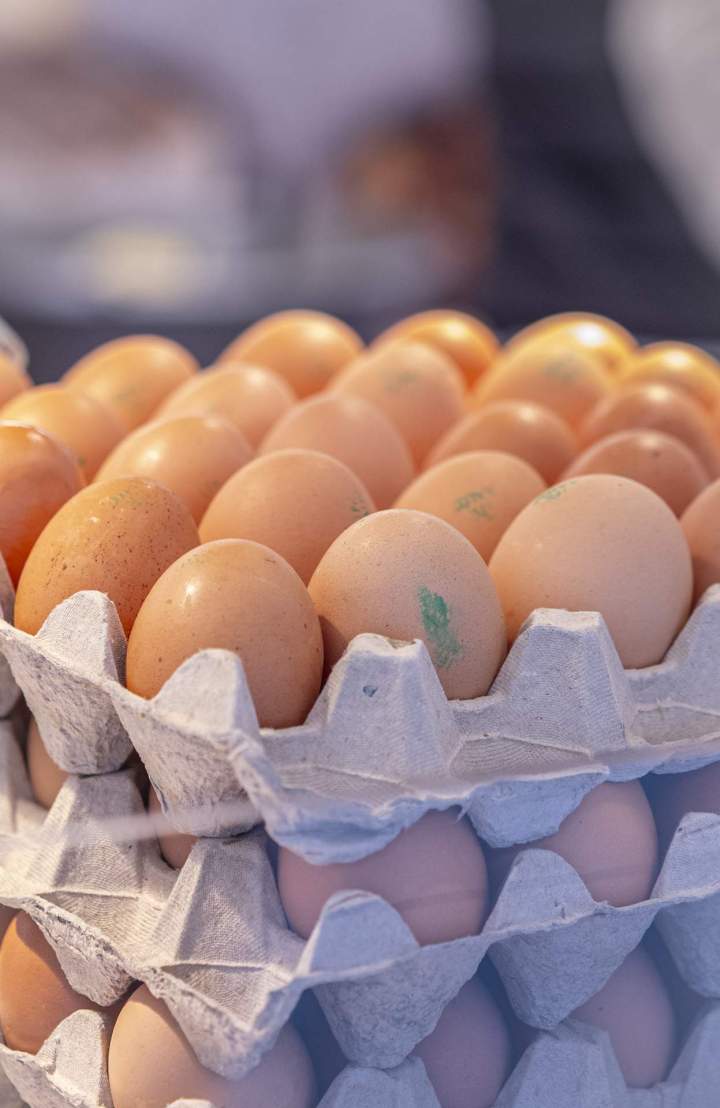 Nos produits – Près de Bourg-en-Bresse